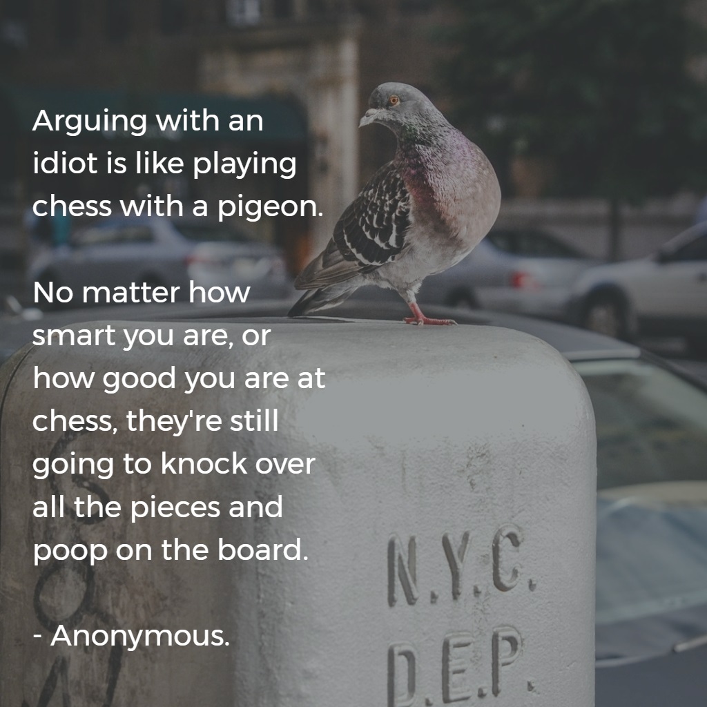 Arguing with an idiot is like playing chess with a pigeon - via pablo as jpg